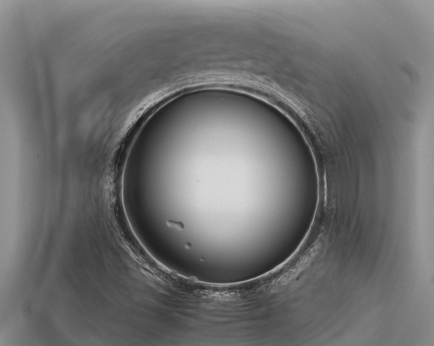 X0000113211501200909171523