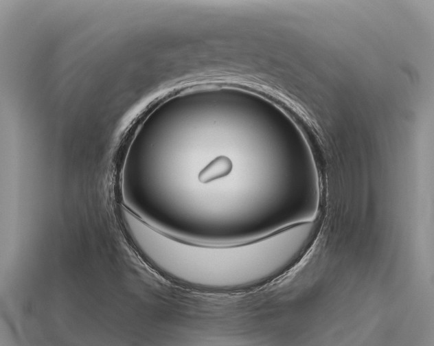 X0000113211502200909171523