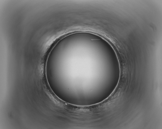 X0000113211503200909171523