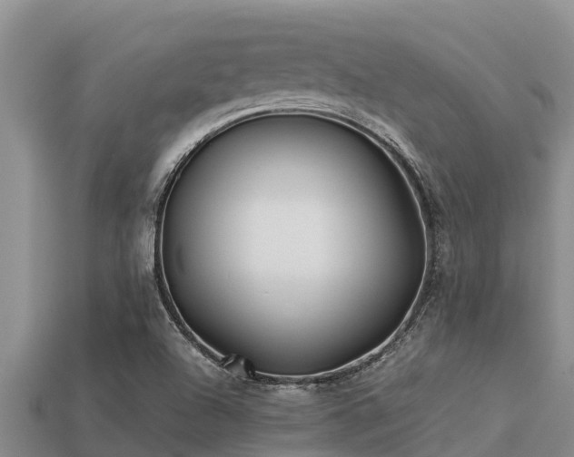 X0000113211504200909171523