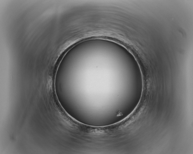 X0000113211505200909171523