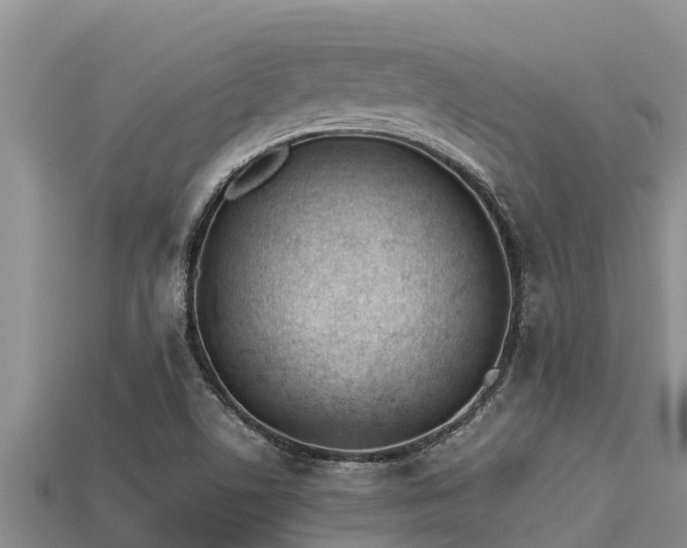 X0000113211506200909171523