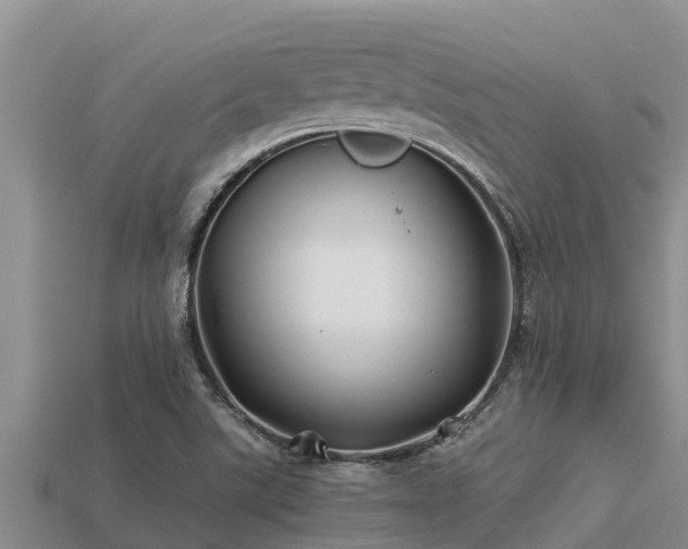 X0000113211507200909171523