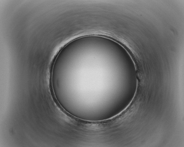 X0000113211508200909171523