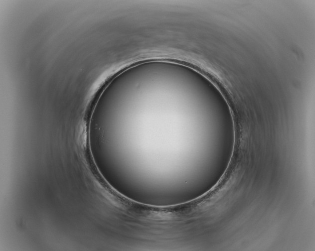 X0000113211509200909171523