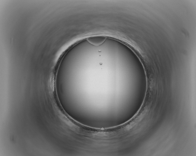 X0000113211510200909171523