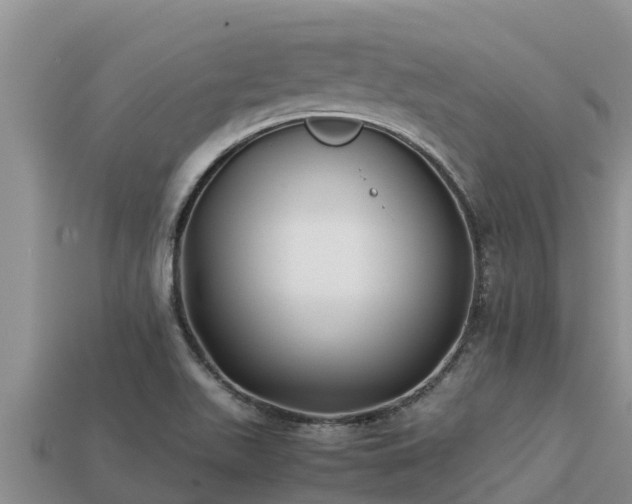 X0000113211511200909171523