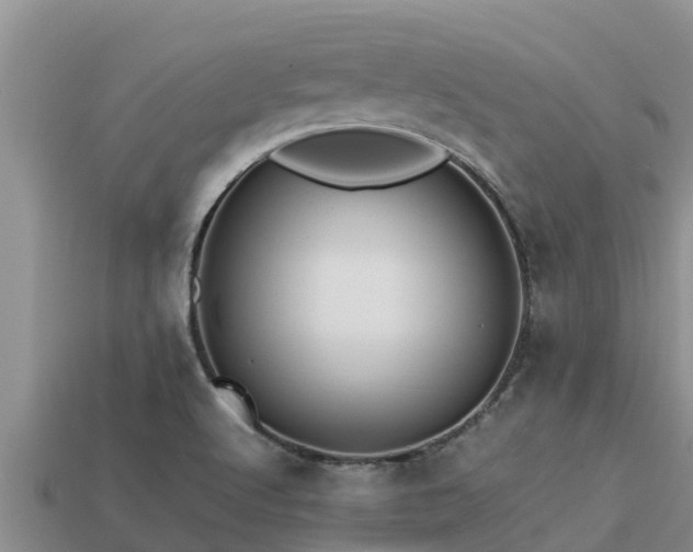 X0000113211512200909171523