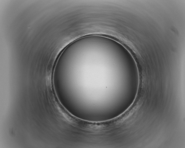 X0000113211513200909171523