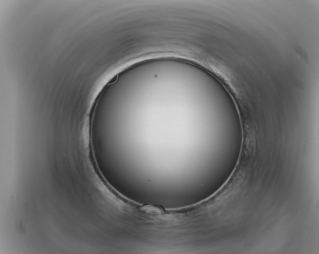 X0000113211516200909171523