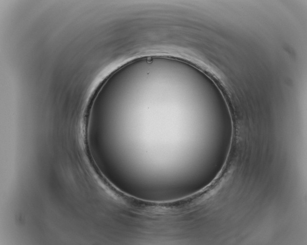 X0000113211517200909171523