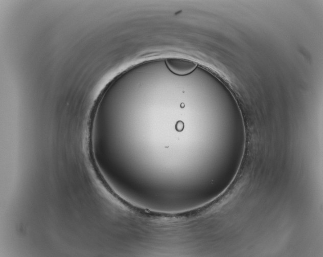 X0000113211518200909171524