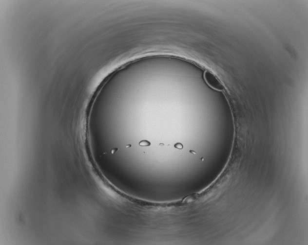 X0000113211519200909171524