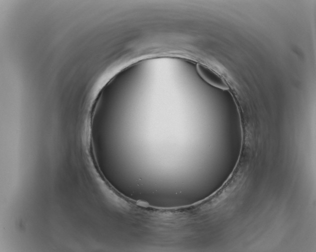 X0000113211520200909171524