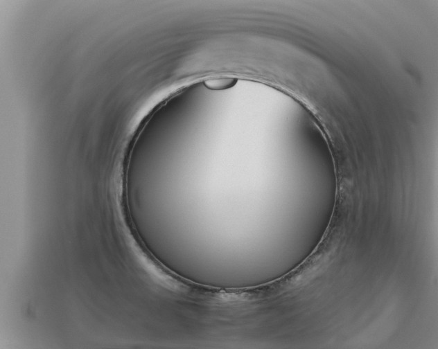 X0000113211523200909171524