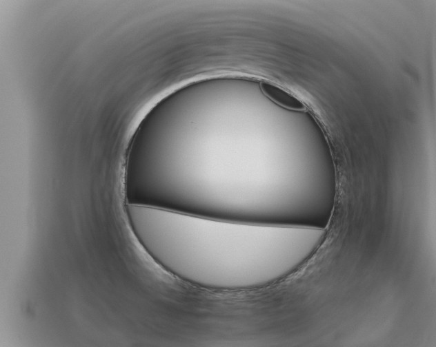 X0000113211524200909171524