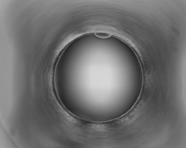 X0000113211525200909171524