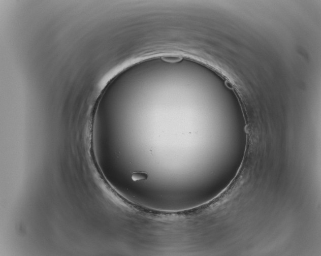 X0000113211526200909171524