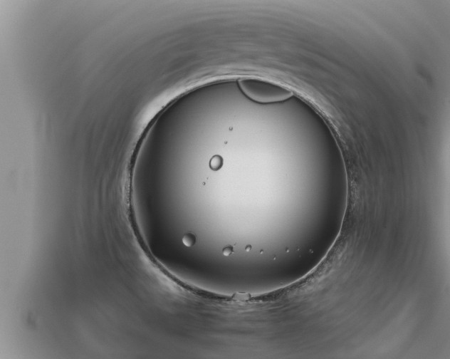 X0000113211527200909171524