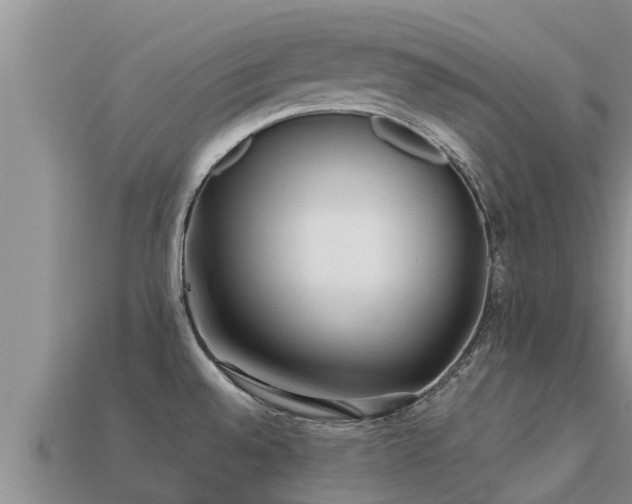 X0000113211528200909171524