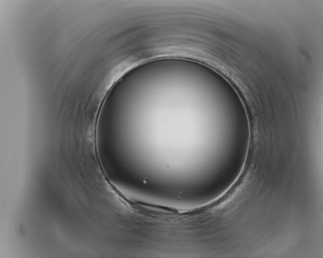 X0000113211529200909171524