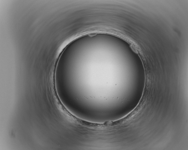 X0000113211530200909171524