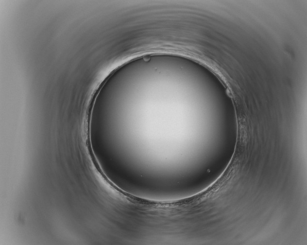 X0000113211531200909171524