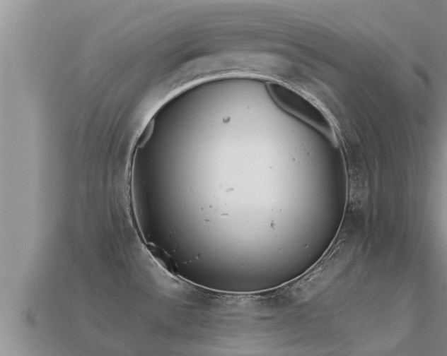 X0000113211532200909171524