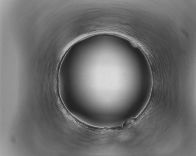 X0000113211534200909171524