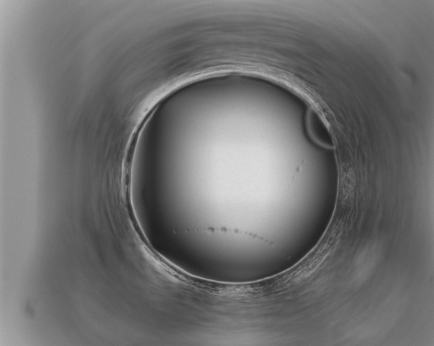 X0000113211535200909171524