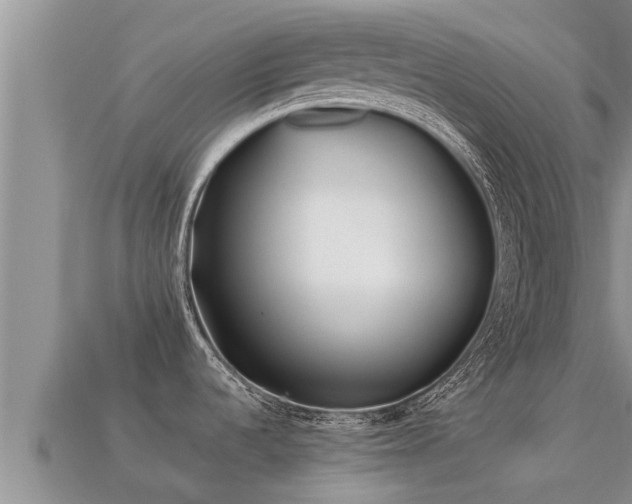 X0000113211536200909171524