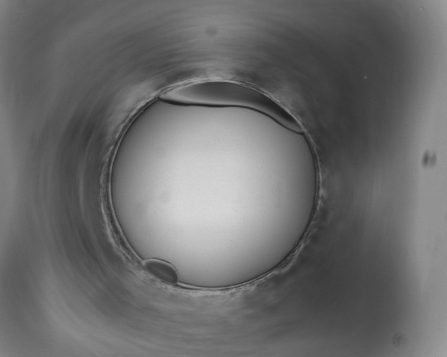 X0000113210001200909241435