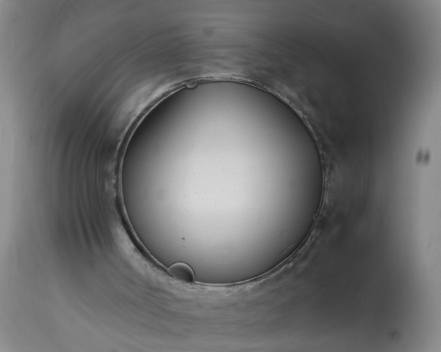 X0000113210002200909241435