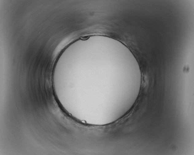 X0000113210004200909241435