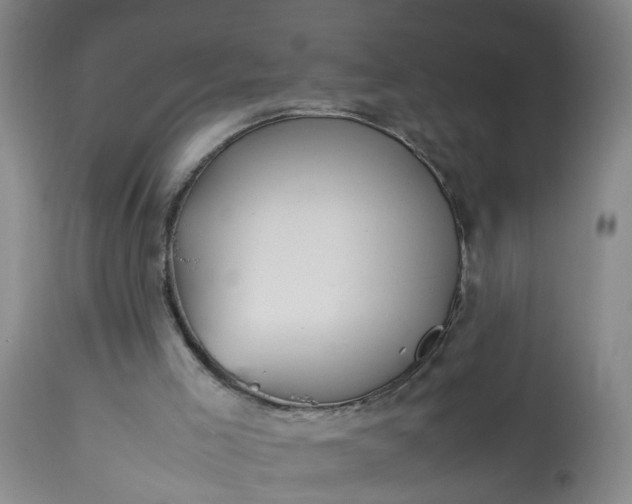 X0000113210005200909241435