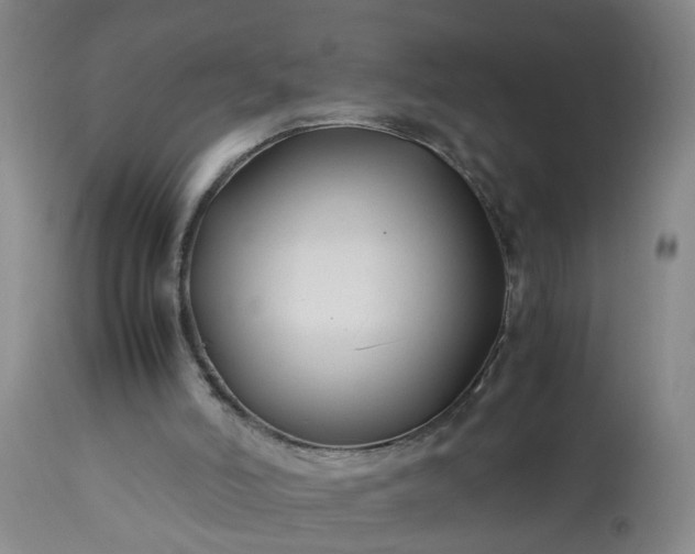 X0000113210006200909241435