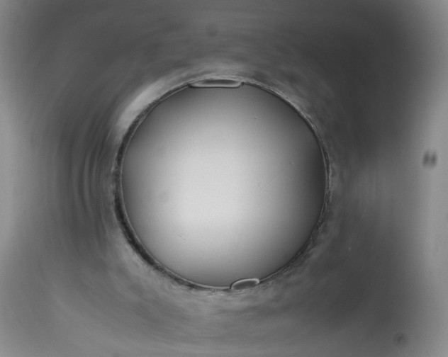 X0000113210007200909241435