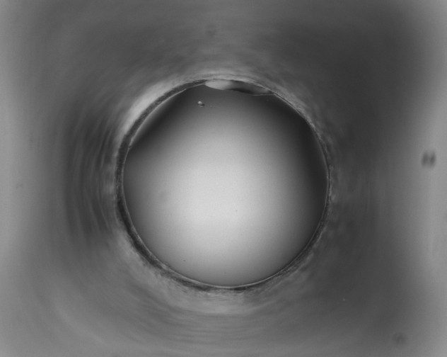 X0000113210008200909241435