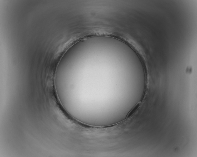 X0000113210009200909241435