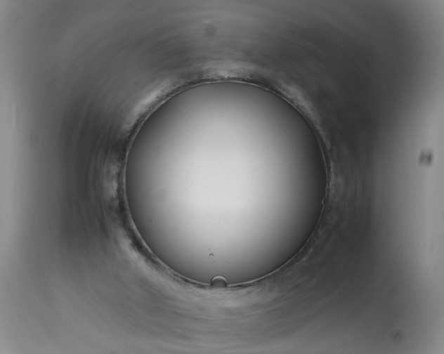 X0000113210010200909241435