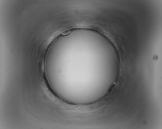 X0000113210011200909241435