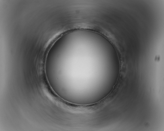 X0000113210012200909241435