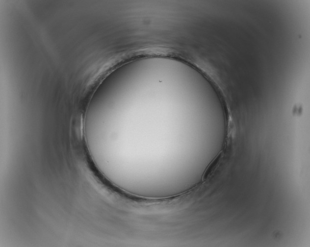 X0000113210013200909241435