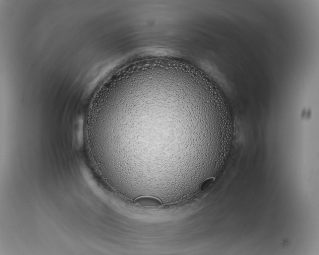 X0000113210014200909241435