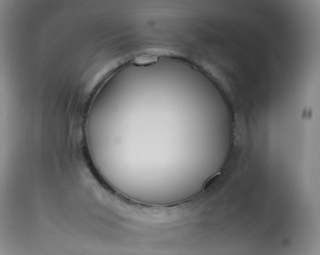 X0000113210015200909241435