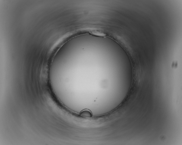 X0000113210016200909241435