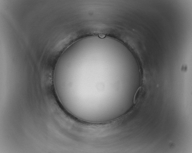 X0000113210017200909241435