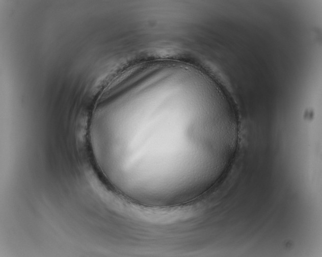 X0000113210018200909241435