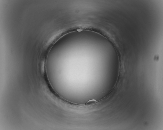 X0000113210019200909241435