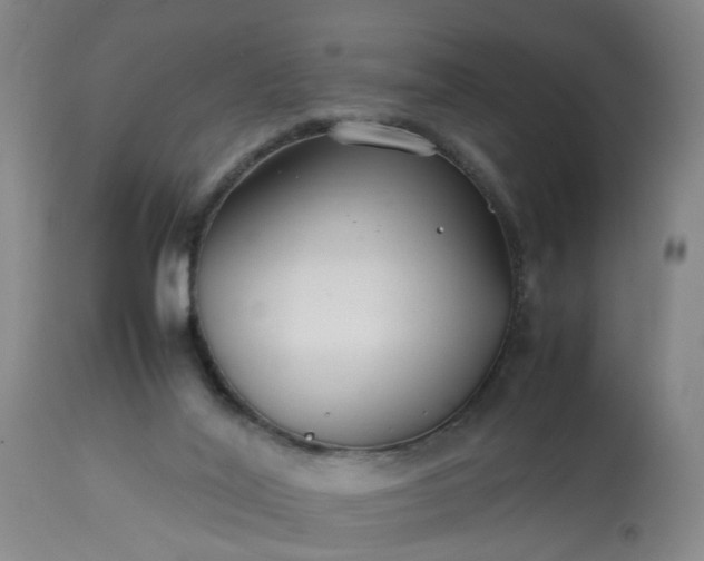 X0000113210020200909241435